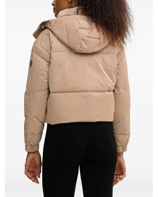 EA7 Black Padded Design Jacket