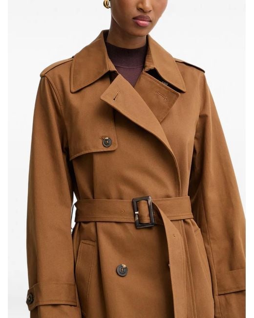 Gabardina Con Cinturón Morgan de color Brown