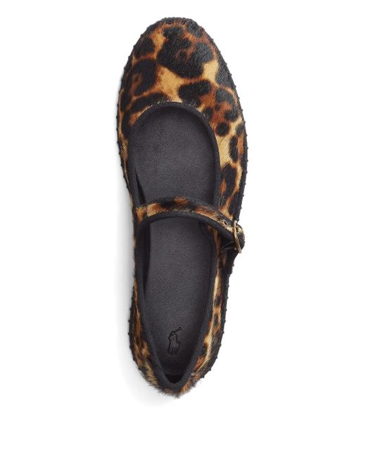 Polo Ralph Lauren Brown Leopard-print Ballet Flats