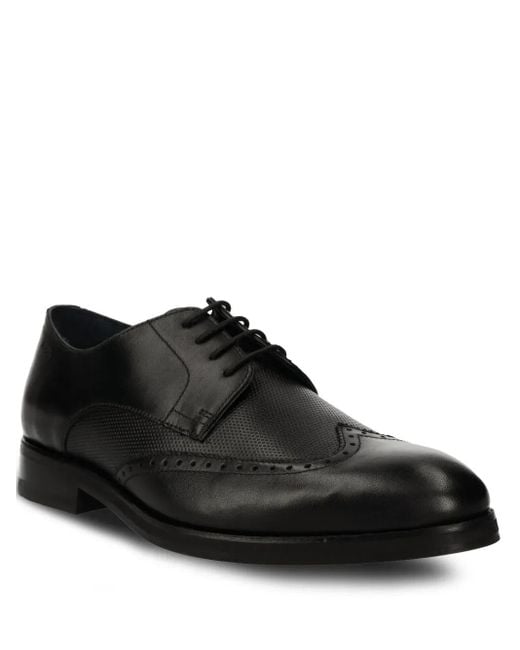 Joop! Black Perforated Wingtip Lace-Up Shoes for men
