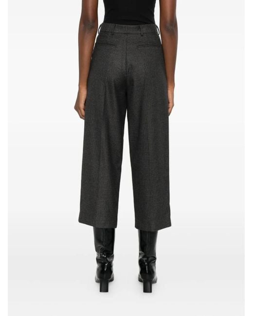 THE M.. Clelia Broek in het Gray