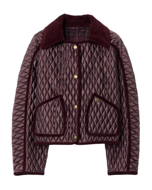 Burberry Donsjack Met Ribfluwelen Afwerking in het Purple