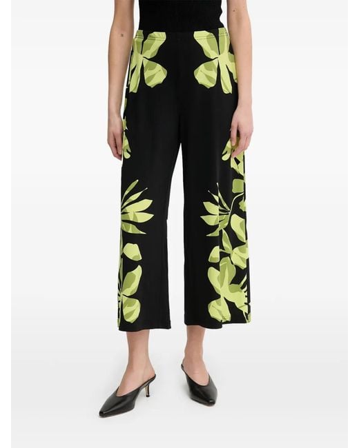 Joseph Ribkoff Black Floral Trousers