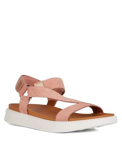 Geox Brown Suede Flat Sandals