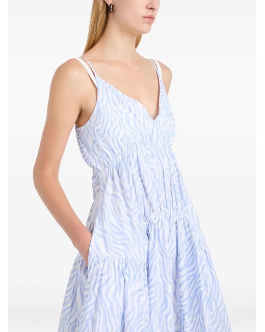 Proenza Schouler Blue Michelyn Zebra-Print Maxi Dress