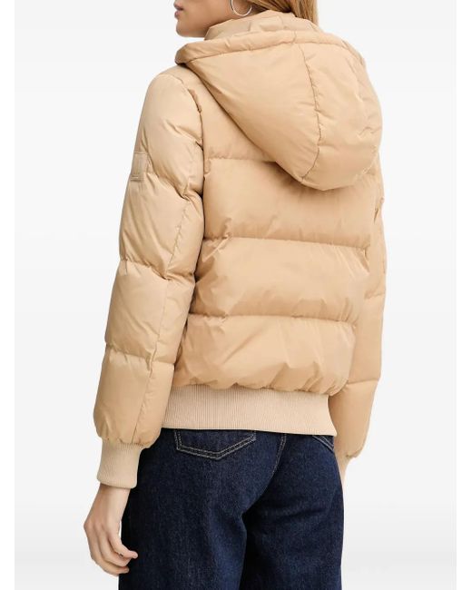 ARMANI EXCHANGE Blue Hooded Logo-Patch Jacket