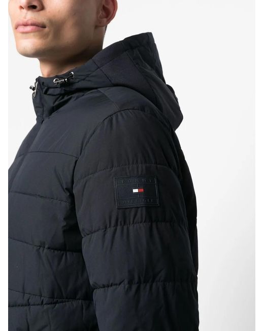 Tommy Hilfiger Blue Padded Hooded Jacket for men