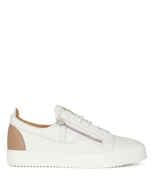 zanotti discount