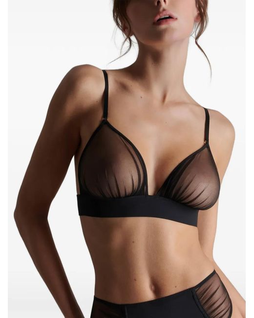 Scandale Black Nuit Fauve Triangle Bra