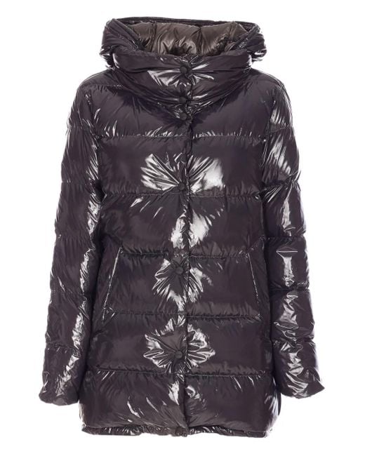 Herno Gray Manteau À Boutons Pression