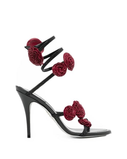 Rene Caovilla White Rosalia Floral-Embellished Sandals