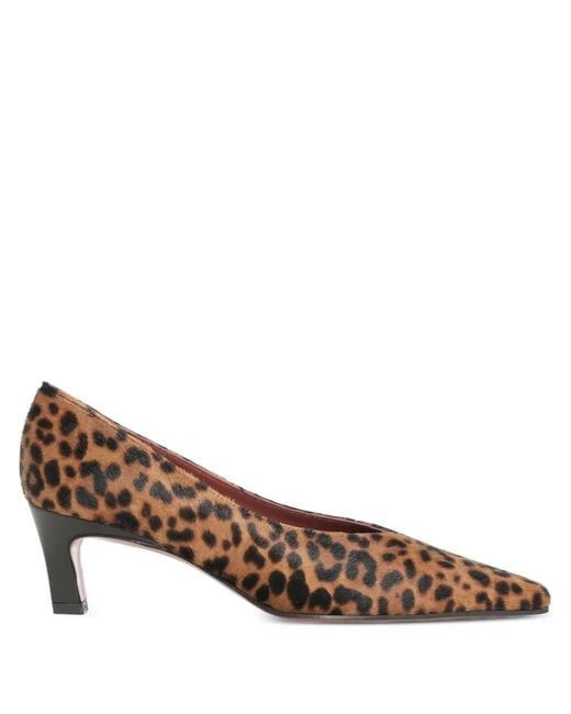 Roberto Festa Brown Falira Leopard-Print Heel Pumps