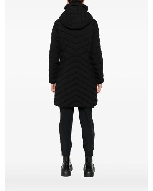 DKNY Gewatteerde Parka in het Black