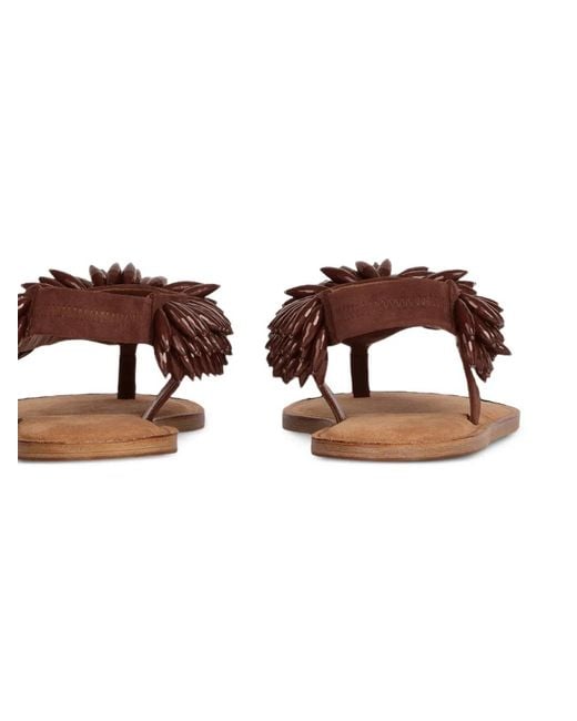 Balmain Brown Flat Sandals