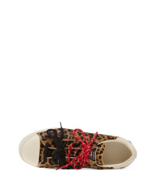 Converse Brown Chuck Taylor Leopard-Print Sneakers