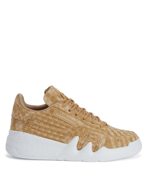 Giuseppe Zanotti Brown Talon Lace-Up Low-Top Sneakers for men
