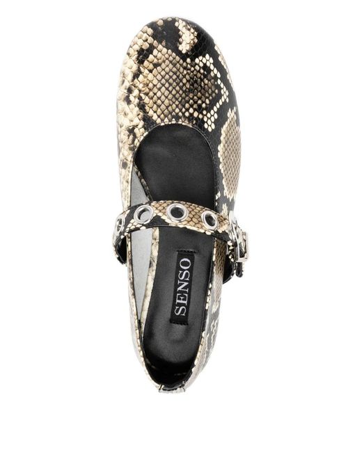 Senso White Camille Ii Ballet Flats