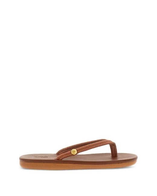 Ancient Greek Sandals Brown Braided-Strap Sandals