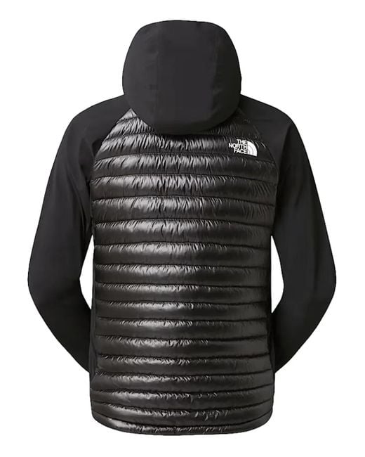 The North Face Black Summit Breithorn Hooded-Padded Jacket for men