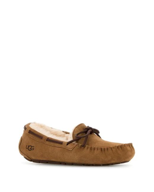 Ugg Brown Women's Dakota
