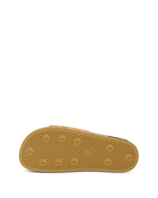 Adidas Brown Sandales Adilette Rs