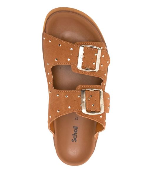 Scholl Brown 40Mm Heather Studded Sandals
