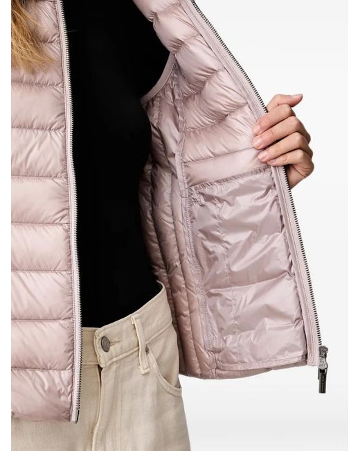 ARMANI EXCHANGE Natural Quilted Puffer Gilet