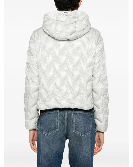 Doudoune À Capuche Herno en coloris White