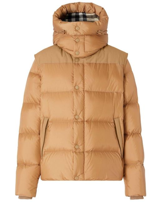 Burberry Brown Hooded Down Jacket for men