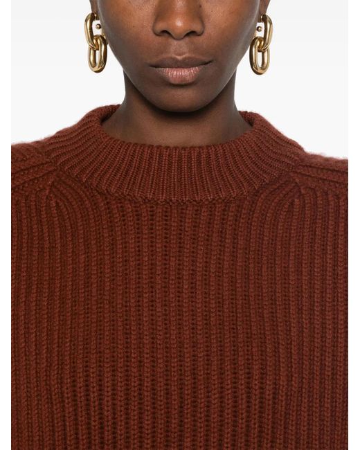 Sofie D'Hoore Brown Gerippter Pullover