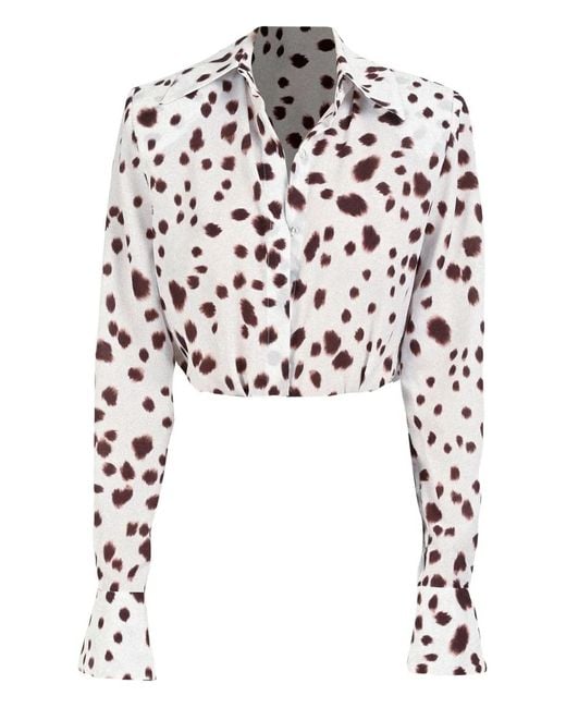ROWEN ROSE White Chemise À Motif Dalmatien
