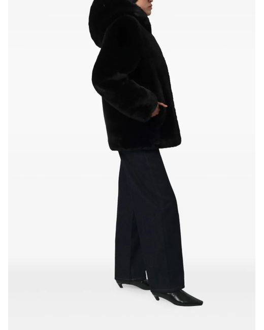 Apparis Black Katin Hooded Jacket