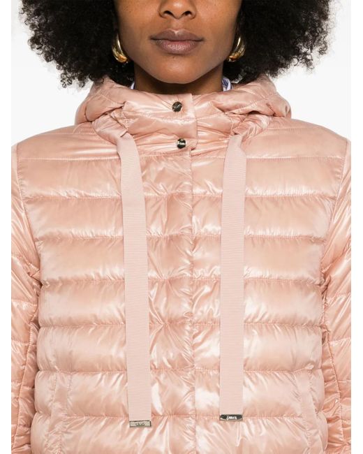 Herno Ultralight ジャケット Pink