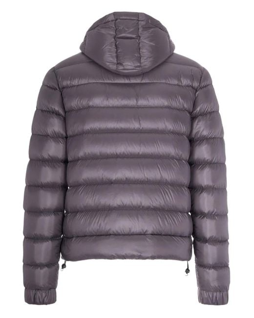 Colmar Gray Hooded Padded Jacket for men