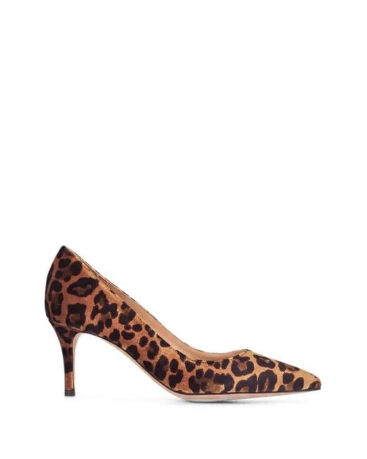 Gianvito Rossi Brown Gianvito 70 Pumps
