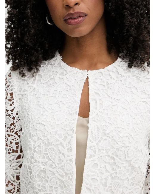Morgan White Lace-Overlay Cropped Jacket
