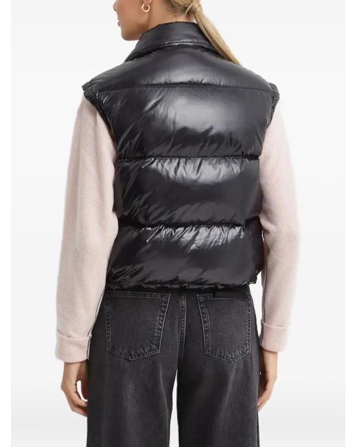 Chaleco Acolchado Con Capucha Fay de color Black