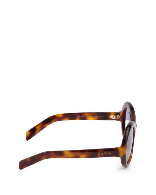 Prada Brown Eyewear Collection Sunglasses