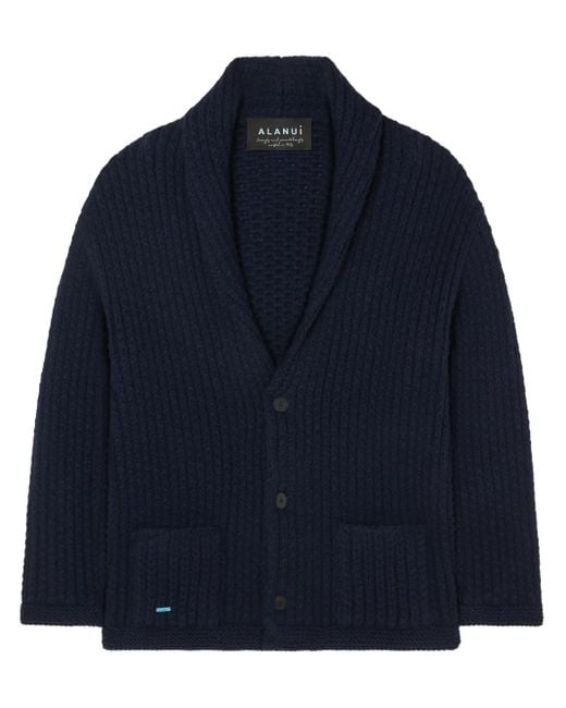 Alanui Finest Vest in het Blue voor heren