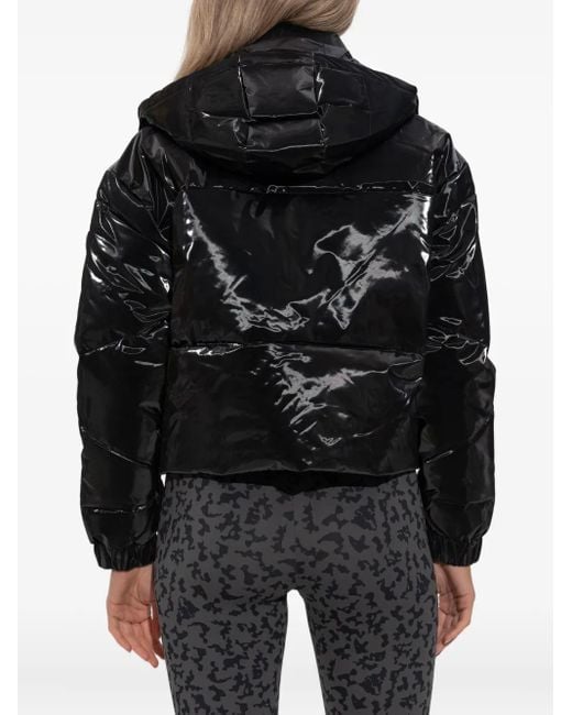 EA7 Black Hooded Padded Jacket