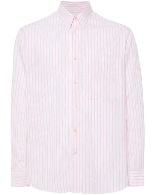sunflower Pink Ace Striped Shirt for men