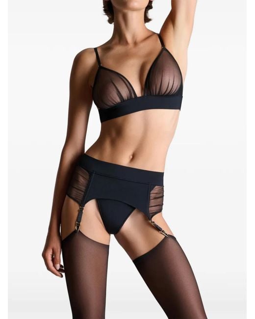 Scandale Black Nuit Fauve Mesh-Panel Suspender Belt
