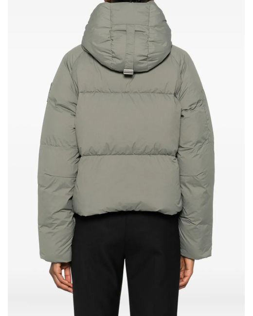 Canada Goose Gray Chilliwack Padded Puffer Jacket
