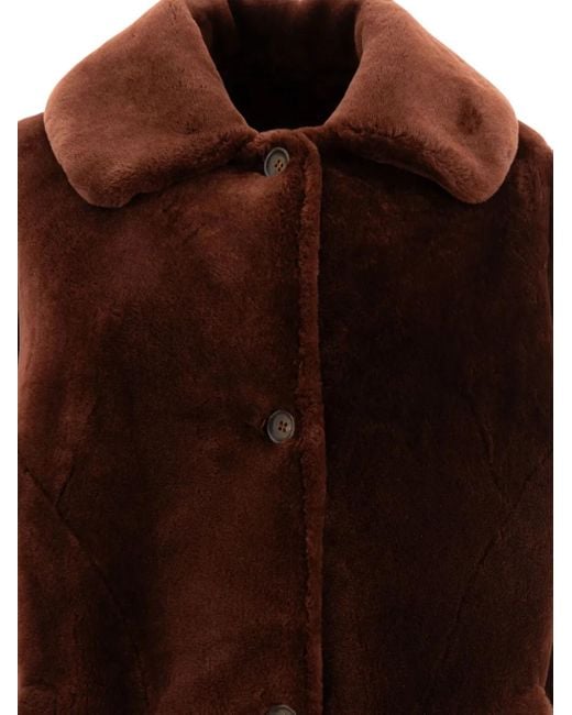 B&W Brown Button-Fastening Collar Coat