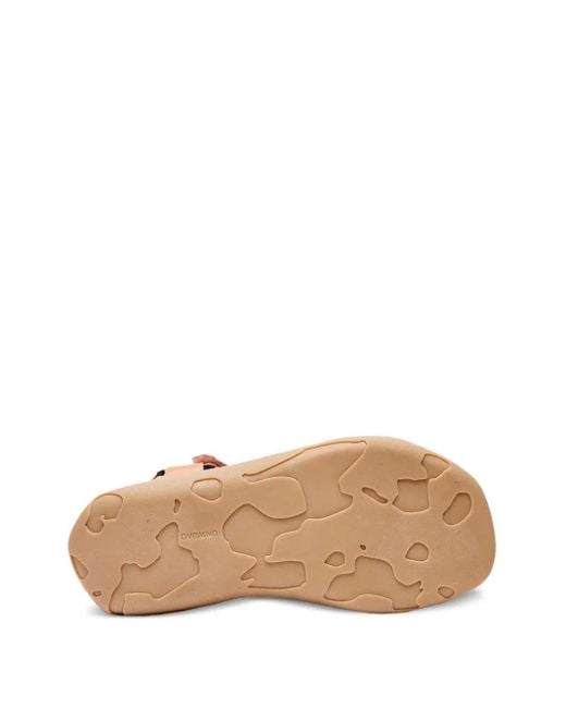 Onwuad Brown Sandales Schon Tech