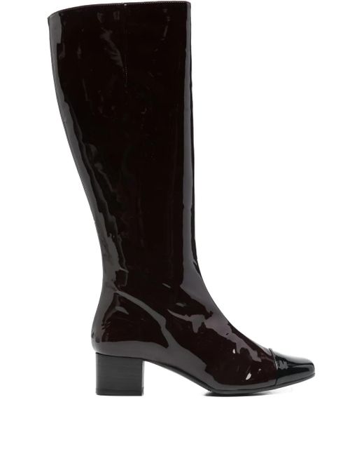 Bottes Malaga 45 Mm En Cuir CAREL PARIS en coloris Black