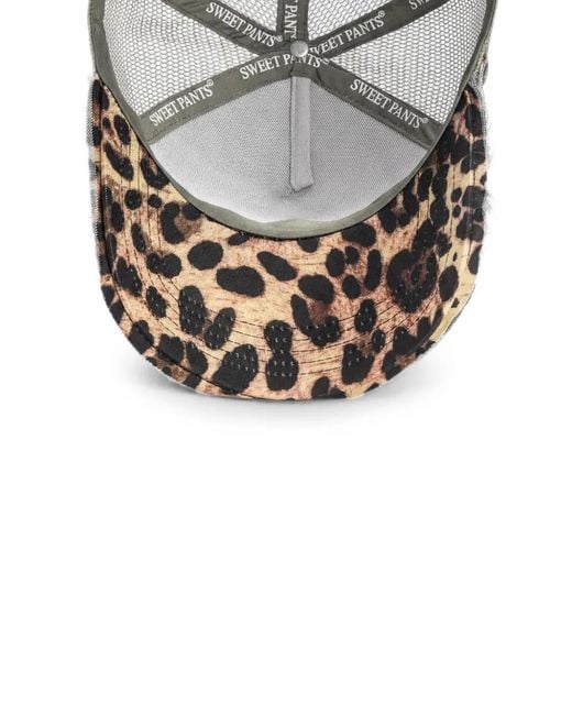 Sweet Pants Gray Leopard-Print Mesh-Panel Cap