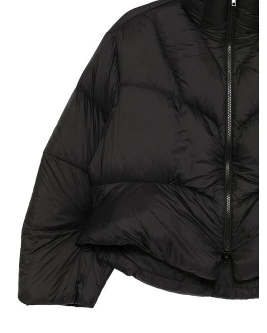 JNBY Black Cropped Puffer Jacket