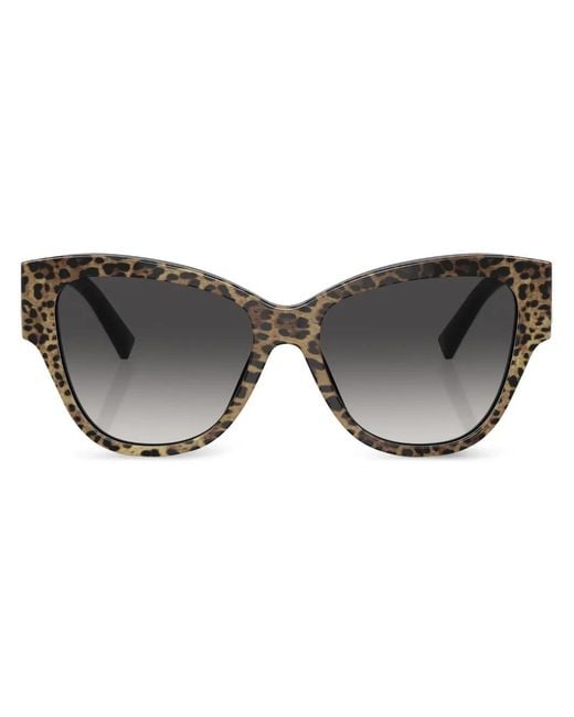 Dolce & Gabbana Brown Butterfly-Frame Sunglasses