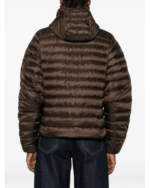 Canada Goose Brown Hooded Quilted Jacket